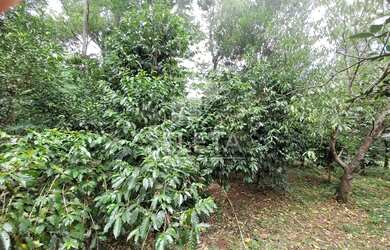 Imagem 7: Chácara no alagado em Boa Vista da Aparecida proximo a Usina de Salto Caxias