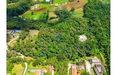 Imagem 6: Terreno Rural à venda área 18.556,11m² - Águas Fervidas Colombo/Pr
