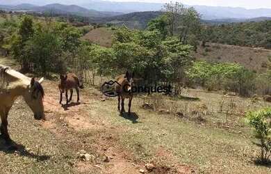 Imagem 3: Vendo Fazenda de 36 hectares com muita agua na Cidade de Moeda