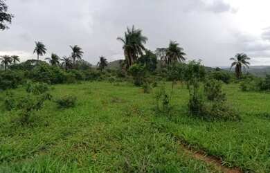 Imagem 12: Fazenda Capão Preto - Tiros - MG