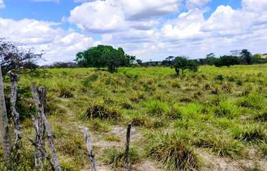 Imagem: A fazenda possui 150.282m² de Área e está localizado em