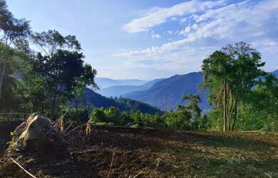 Imagem 2: Sítio / Chácara para Venda em Nova Petrópolis, Arroio Paixão