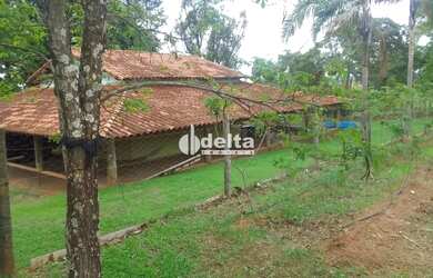 Imagem: A fazenda possui 280m² de Área e está localizado em Uberlândia