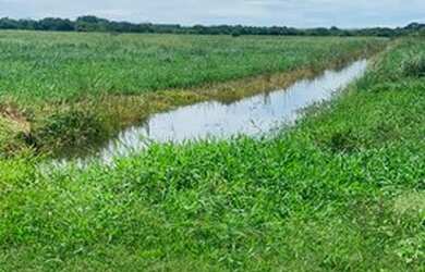 Imagem 9: Venda Ou Permuta Fazenda 112 Alqueires ( 272 Hectares ) Na Região de Araraquara -SP
