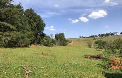 Imagem 11: Sítio 2 alqueires - Itatiba - Bragança Paulista