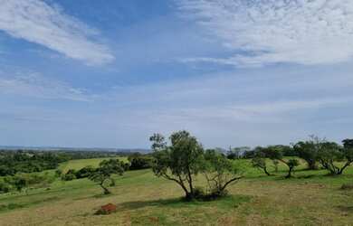 Imagem 3: Lote/Terreno para venda tem 314000 metros quadrados em Lomba Grande -...