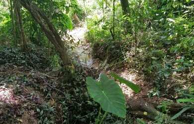 Imagem 1: Terreno - Atibaia. 1m² de Área