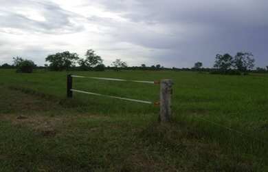 Imagem 8: Fazenda 83.346 Hectares em Mato Grosso - São Felix
