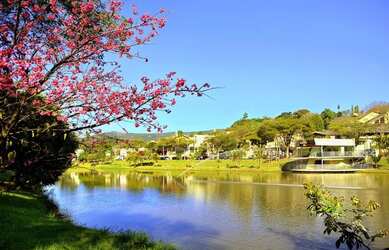 Imagem 13: Casas Térreas com 3 suítes em Jardim do Lago - Atibaia - SP