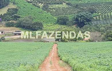 Imagem 7: Fazenda em Turvelândia MG 81,6 alqueires ou 197,47 ha, 80 aproveitável
