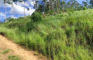 Imagem: O terreno possui 8020m² de Área e está localizado em Ponte