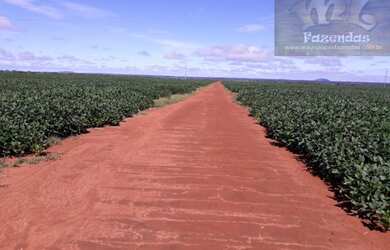 Imagem: A fazenda está localizado em Porangatu, GO à venda por R$75.000.000