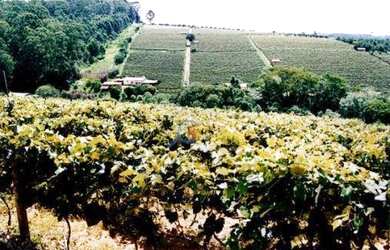 Imagem 6: Área à venda, 217800 m² por R$ 11.000.000,00 - Bairro Tapera Grande...