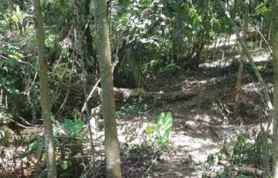 Imagem 2: Terreno - Atibaia. 1m² de Área