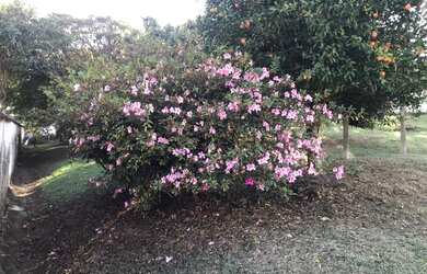 Imagem 5: Vendo Casa no Condomínio - Arujazinho 3 Aruja - SP