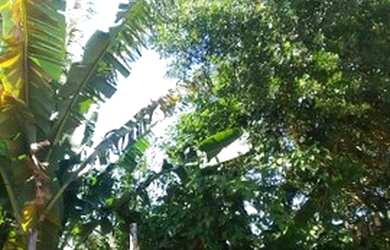 Imagem: O terreno possui 513m² de Área e está localizado em São