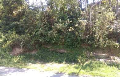 Imagem 12: Terreno para venda com 700 metros quadrados em Quitandinha - Petrópolis...