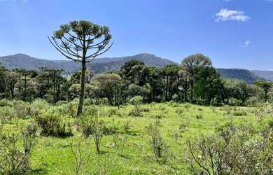Imagem 1: Chácara em Urubici. 