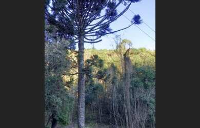 Imagem: O terreno possui 20m² de Área e está localizado em Nova