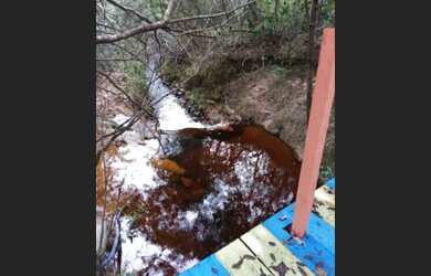 Imagem 4: VENDE-SE UMA CHÁCARA NO TEPEQUEM