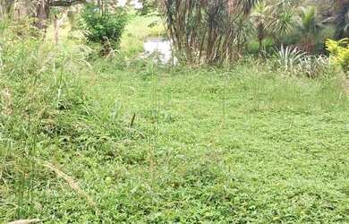 Imagem 12: Terreno para Venda em Rio de Janeiro, Ilha de Guaratiba