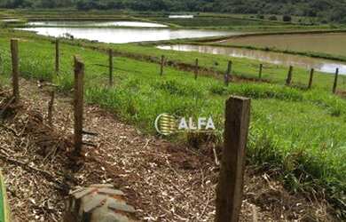 Imagem 12: Fazenda à venda, 39 alqueires por R$ 5.000.000 - Rural - Machado/MG