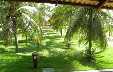 Imagem 5: Fazenda - São Miguel do Araguaia