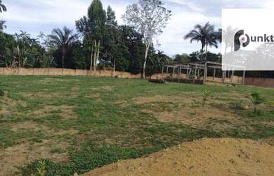 Imagem 7: Terreno localizado Av. das Floresta ,Murado, tamanho 11.600m²