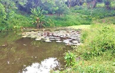 Imagem 15: Terreno para Venda em Rio de Janeiro, Ilha de Guaratiba