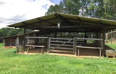 Imagem 8: Chácara 2 alqueires Município de Bela Vista Goias