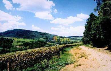 Imagem 10: Área à venda, 217800 m² por R$ 11.000.000,00 - Bairro Tapera Grande...