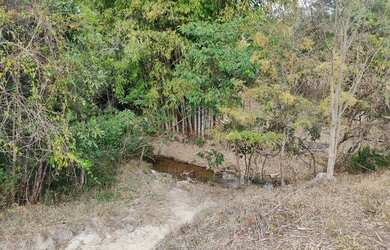 Imagem 5: Terreno Área Fazendinha Fazenda 90.000m2, 9 Hectares, Área Rural, Piracema...