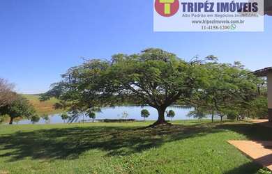 Imagem 3: Fazenda Espetacular em Jaguariúna / SP com 35 alqs FAZ 338