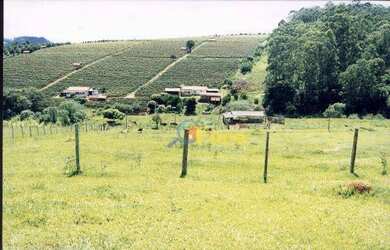 Imagem 9: Área à venda, 217800 m² por R$ 11.000.000,00 - Bairro Tapera Grande...