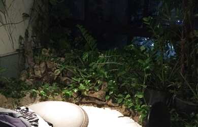 Imagem 4: APARTAMENTO RESIDENCIAL em SALVADOR - BA, CANDEAL