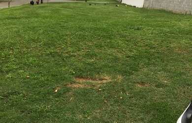 Imagem: O terreno está localizado em Loteamento Residencial Reserva