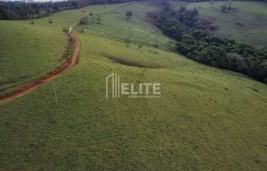Imagem 9: 300 Hectares à Venda em Área de Plantio