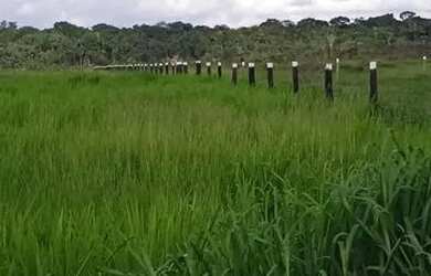 Imagem: A fazenda possui 908m² de Área e está localizado em Santo