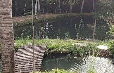 Imagem 5: Chácara em Aragoiania. Piscina