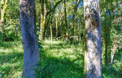 Imagem 2: TERRENO EM CONDOMÍNIO COM INFRAESTRUTURA