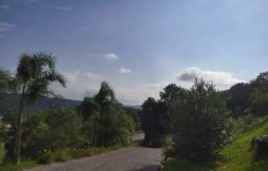 Imagem 12: Sítio / Chácara para Venda em Nova Petrópolis, Linha Olinda, 3 dormitórios,...