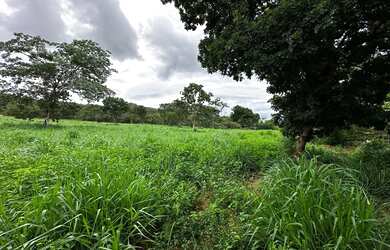 Imagem 10: Fazenda Niquelandia. 1.580.000m² de Área