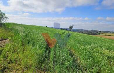 Imagem 4: Chácara 20.000m em Araucária Frente Asfalto, Vista Linda e Zona de Expansão...