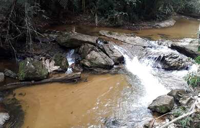 Imagem: A chácara possui 20000m² de Área e está localizado em Alfredo