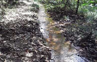 Imagem: A fazenda possui 10m² de Área e está localizado em Centro