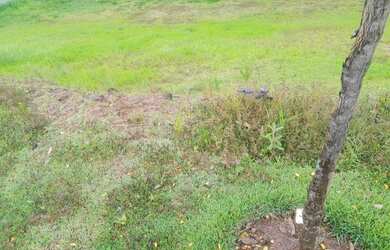 Imagem 3: Terreno à venda, 966 m² por R$ 720.000,00 - Residencial Jatibela - Campinas/SP