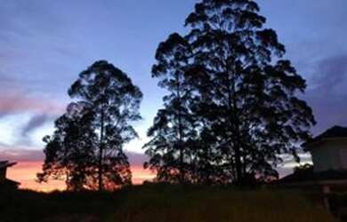 Imagem 2: Vende-se linda casa 5 dormitórios 3 suítes 600 de terreno- R$2.700.000,00