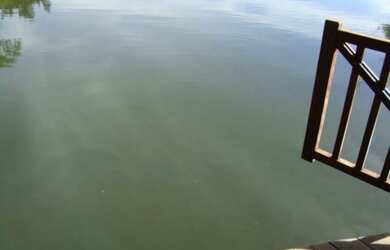 Imagem 12: Fazenda - São Miguel do Araguaia