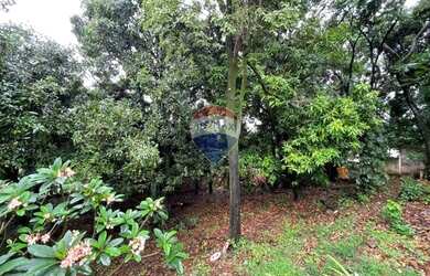 Imagem 5: Terreno à venda, 1000 m² por R$ 450.000,00 - Trevo - Belo Horizonte/MG