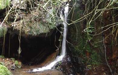 Imagem 14: Maravilhoso Sítio em Gonçalves MG com 28 alqueires e incrível infraestrutura
